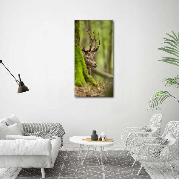 Large canvas wall art Deer