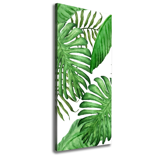 Canvas print Tropical leaves