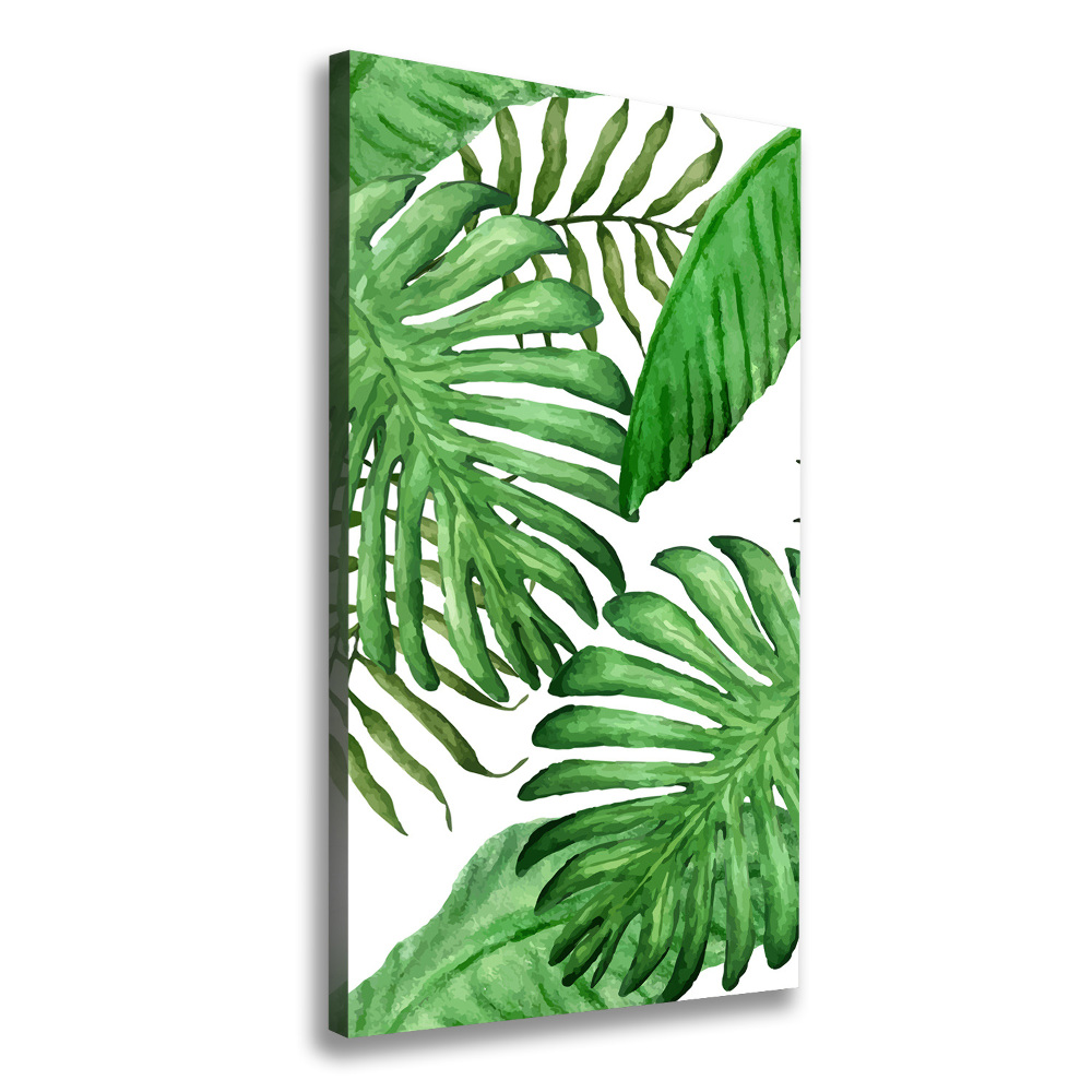 Canvas print Tropical leaves