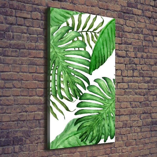 Canvas print Tropical leaves