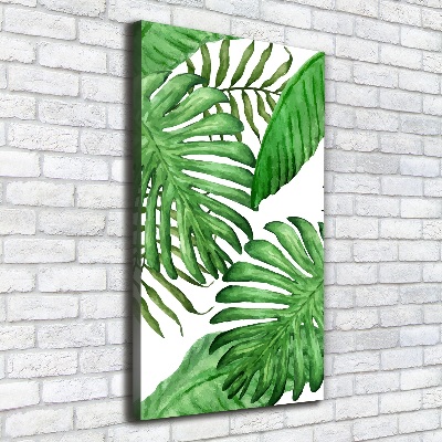 Canvas print Tropical leaves