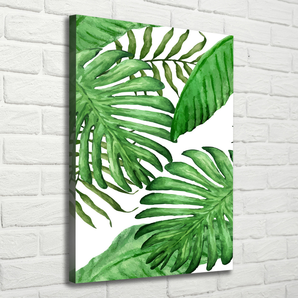 Canvas print Tropical leaves