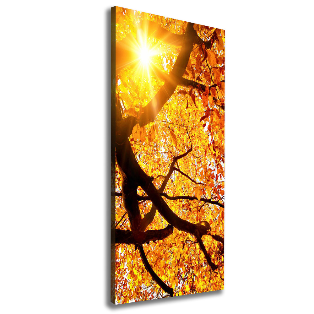 Canvas print Autumn tree