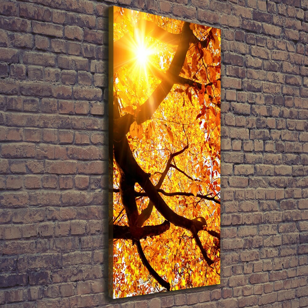 Canvas print Autumn tree