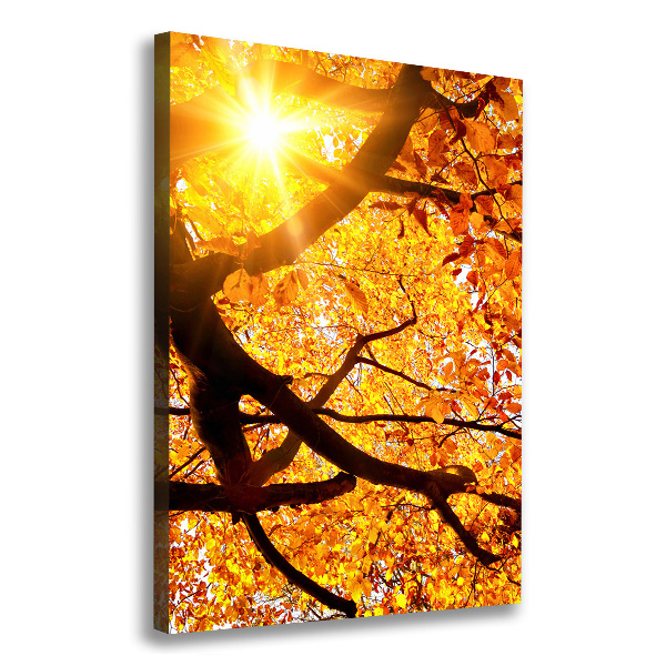 Canvas print Autumn tree