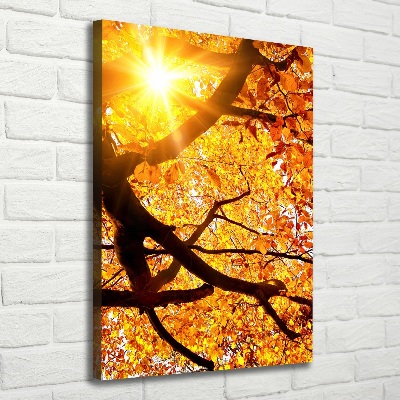 Canvas print Autumn tree