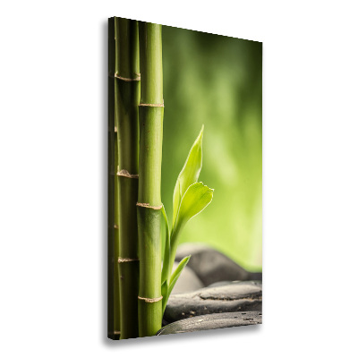 Canvas print Bamboo