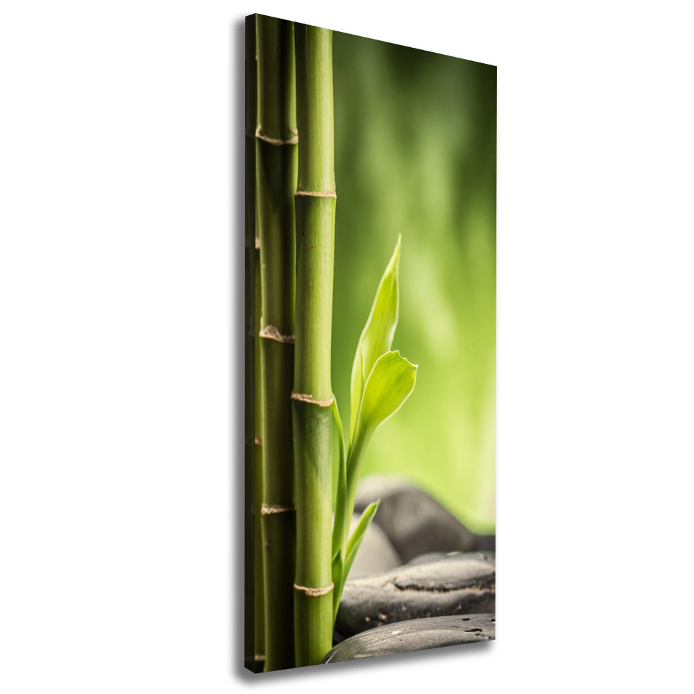 Canvas print Bamboo