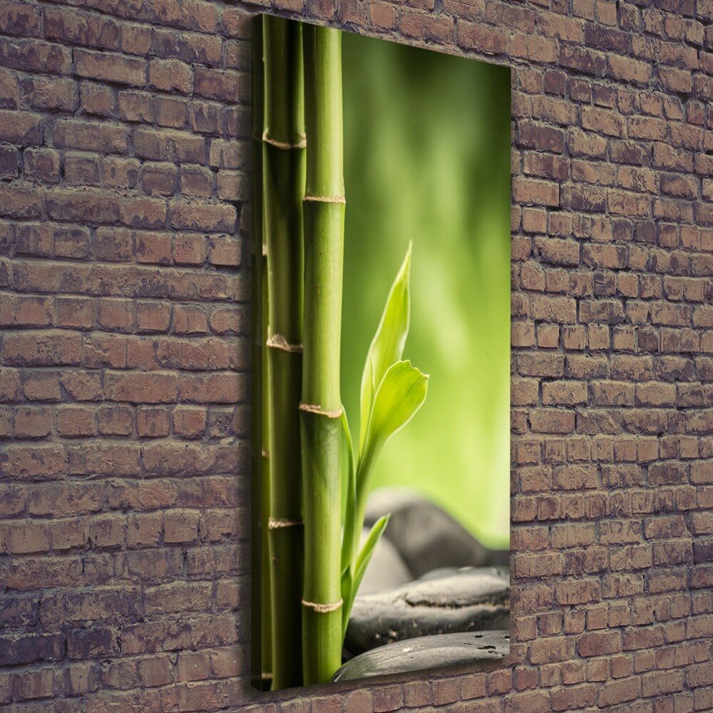 Canvas print Bamboo