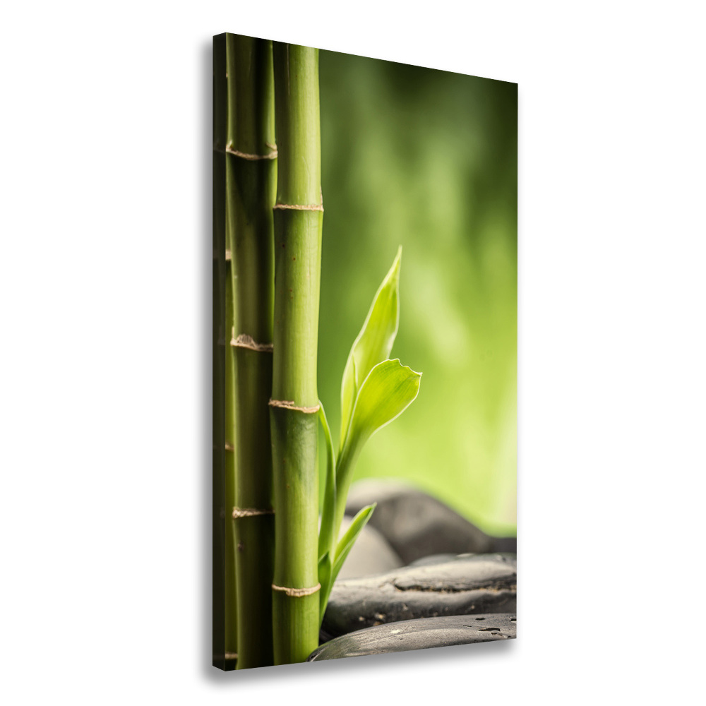 Canvas print Bamboo