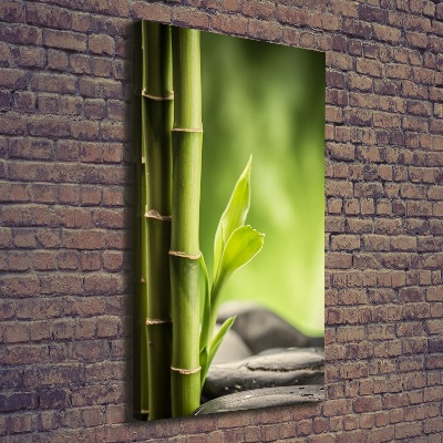 Canvas print Bamboo