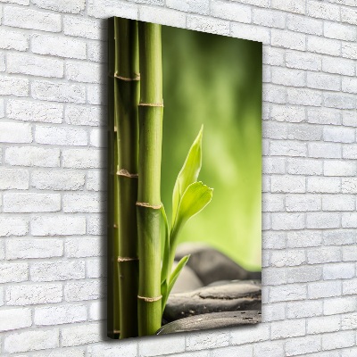 Canvas print Bamboo