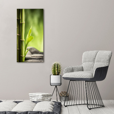 Canvas print Bamboo