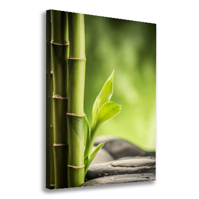 Canvas print Bamboo