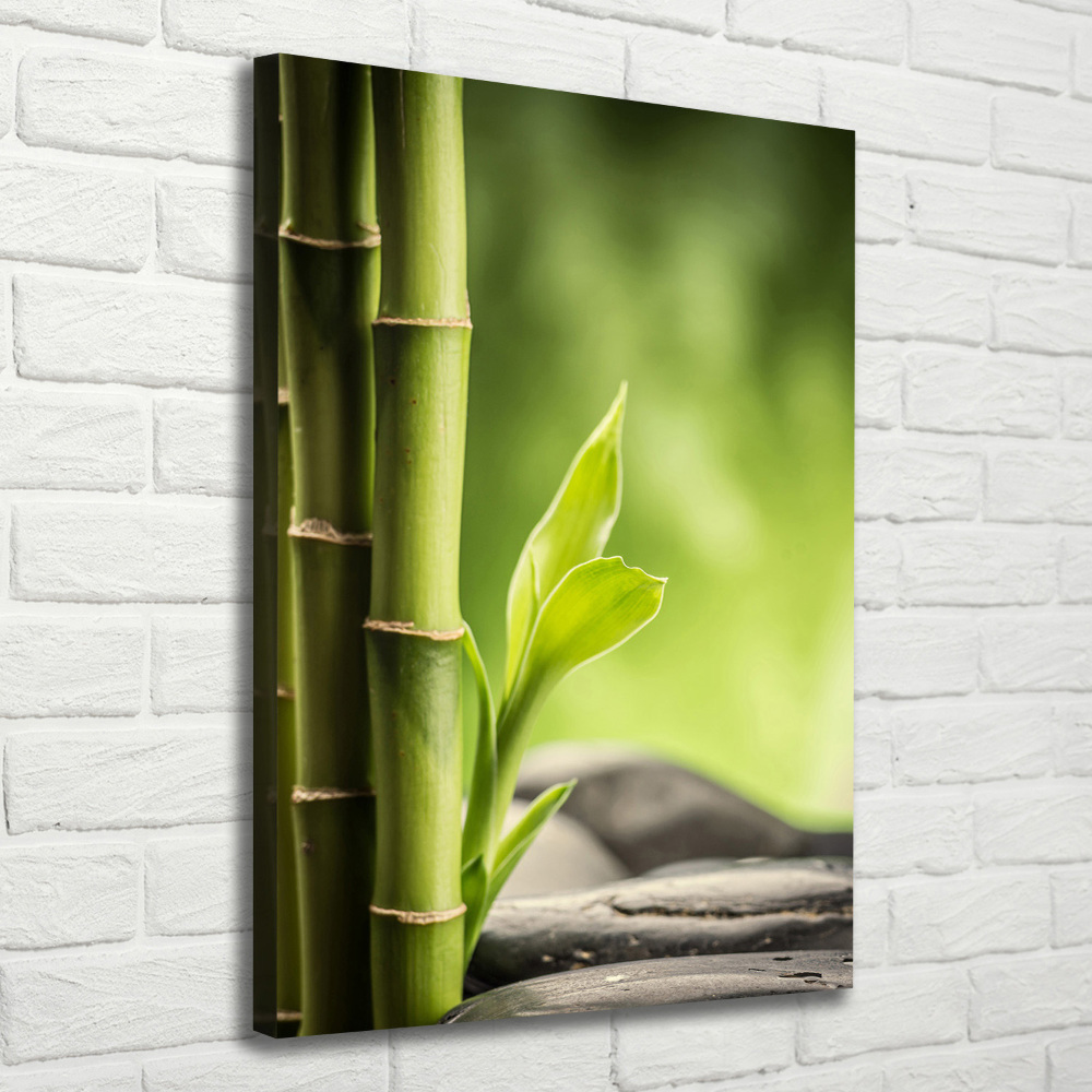 Canvas print Bamboo