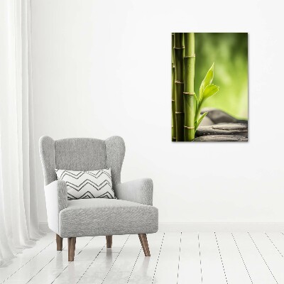 Canvas print Bamboo