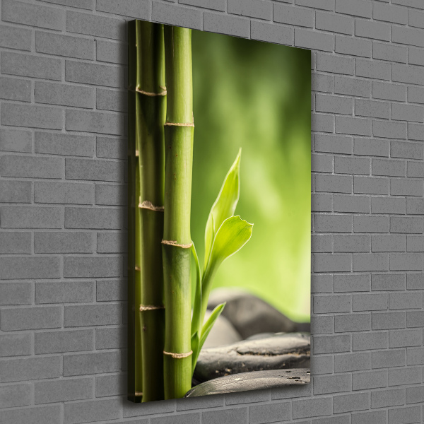 Canvas print Bamboo