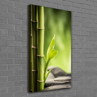 Canvas print Bamboo