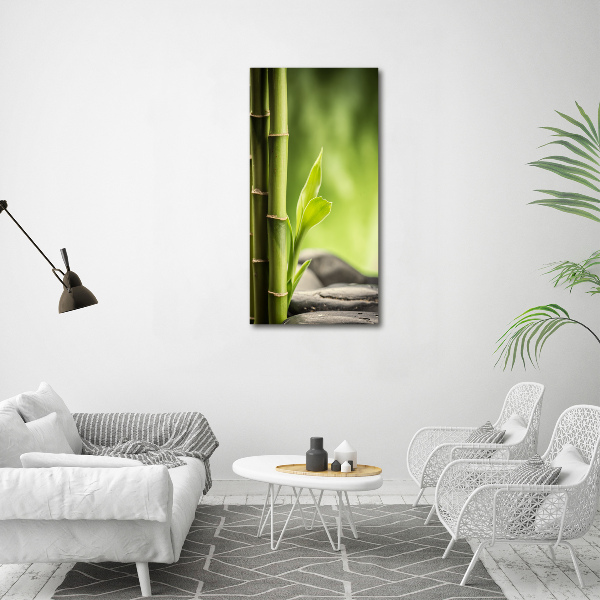 Canvas print Bamboo