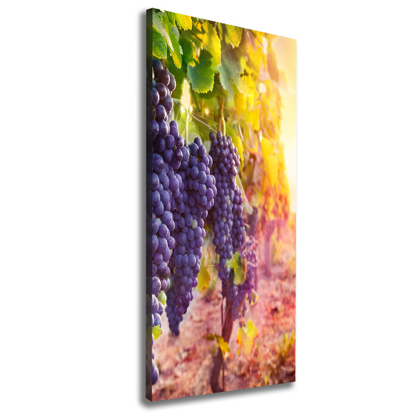 Canvas wall art Vineyard