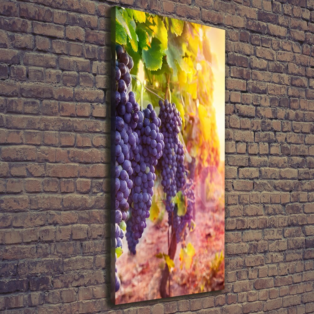 Canvas wall art Vineyard