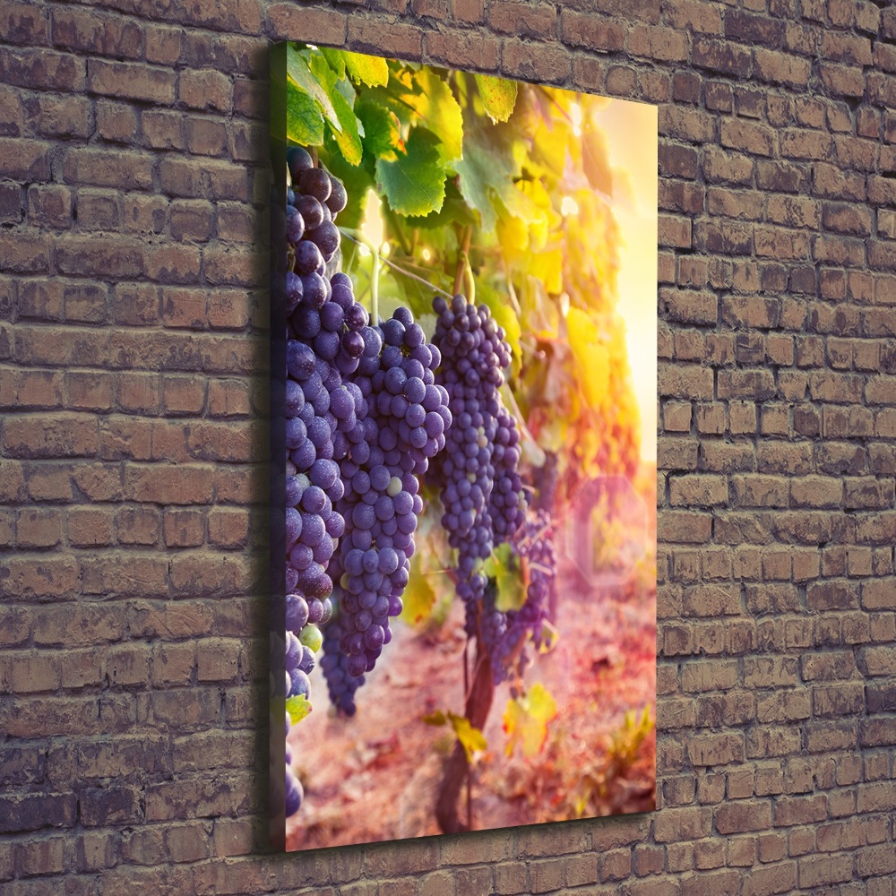 Canvas wall art Vineyard