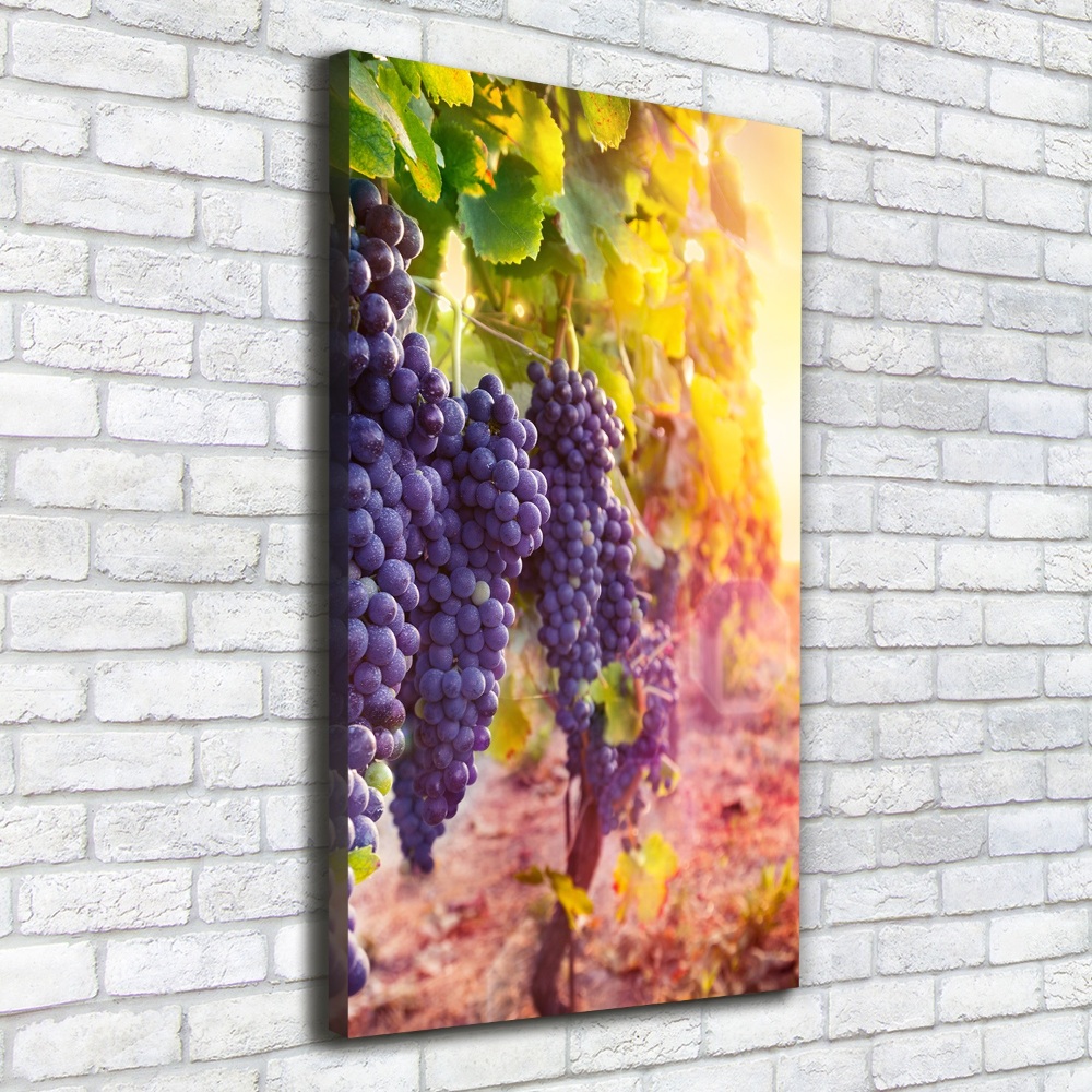 Canvas wall art Vineyard