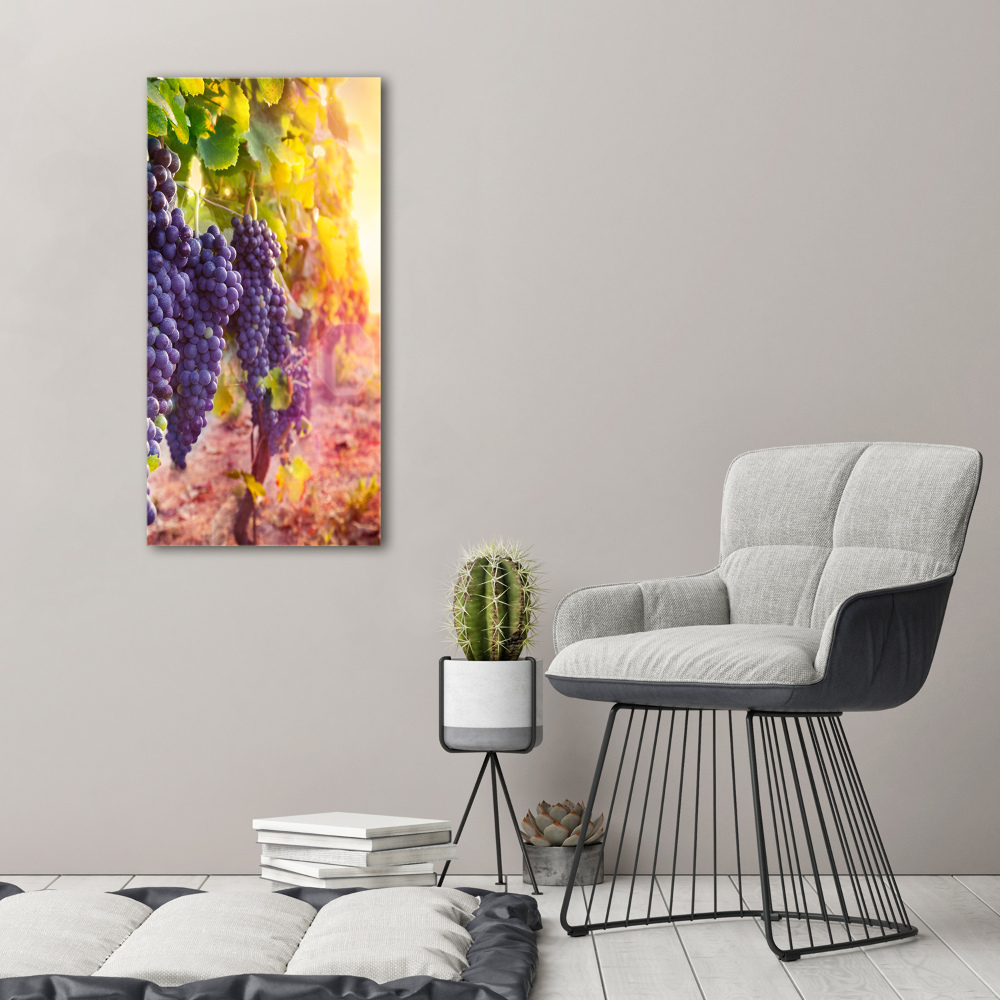 Canvas wall art Vineyard