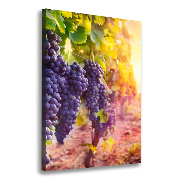 Canvas wall art Vineyard