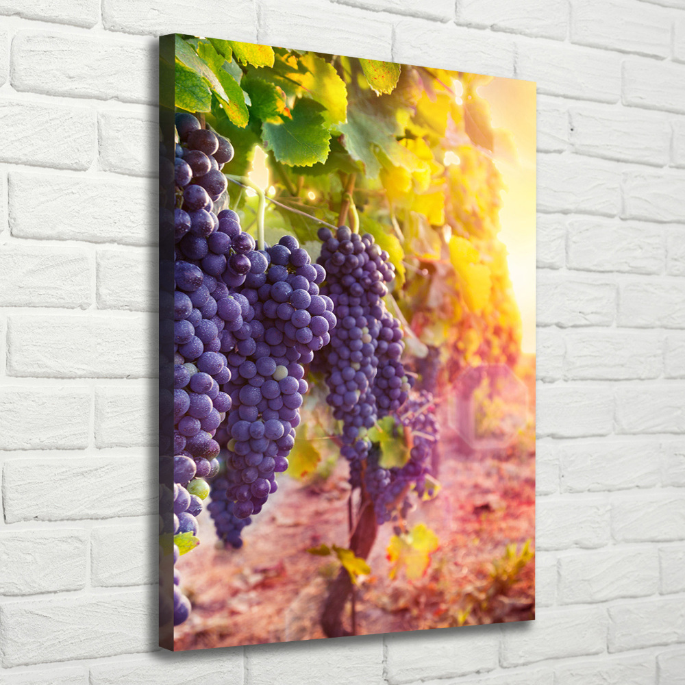 Canvas wall art Vineyard