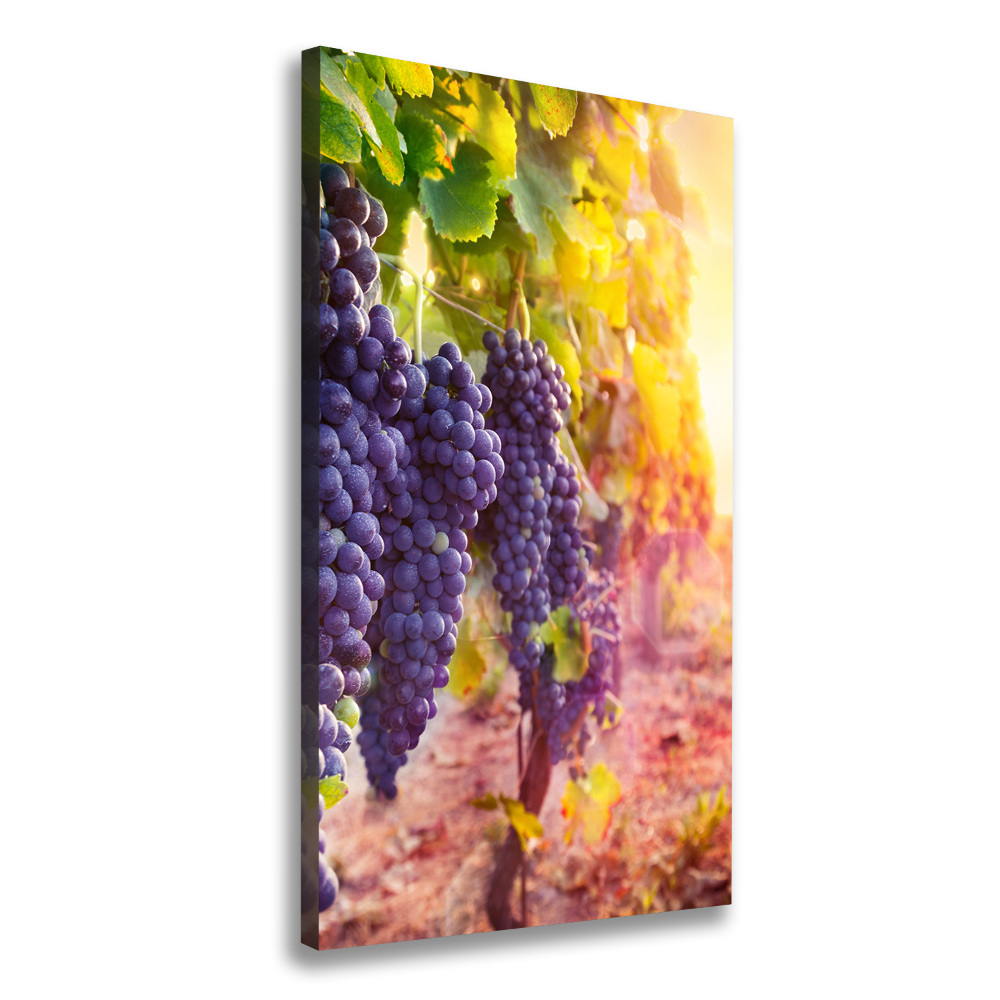 Canvas wall art Vineyard