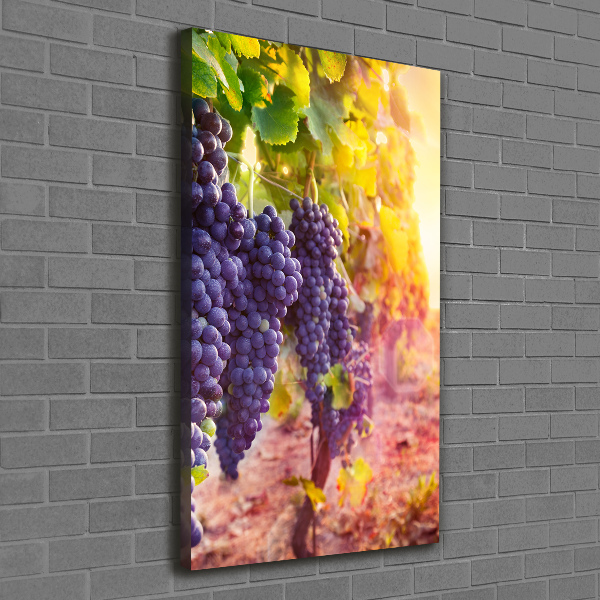 Canvas wall art Vineyard