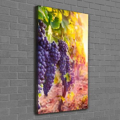 Canvas wall art Vineyard