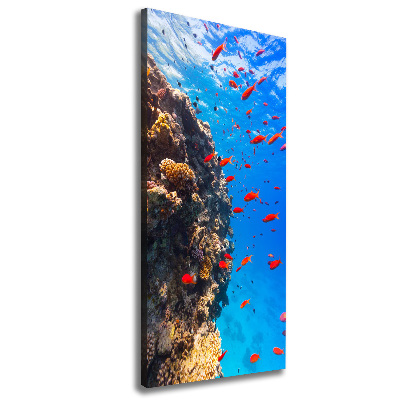 Canvas print Coral reef