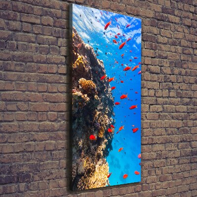 Canvas print Coral reef