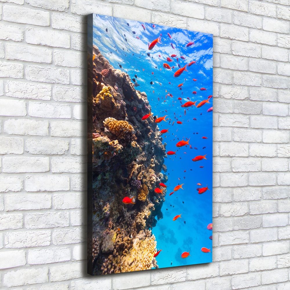 Canvas print Coral reef