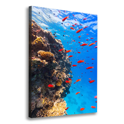 Canvas print Coral reef