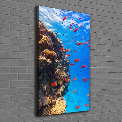 Canvas print Coral reef