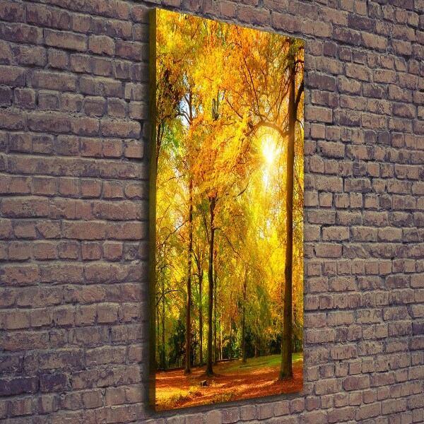 Canvas wall art Forest in autumn