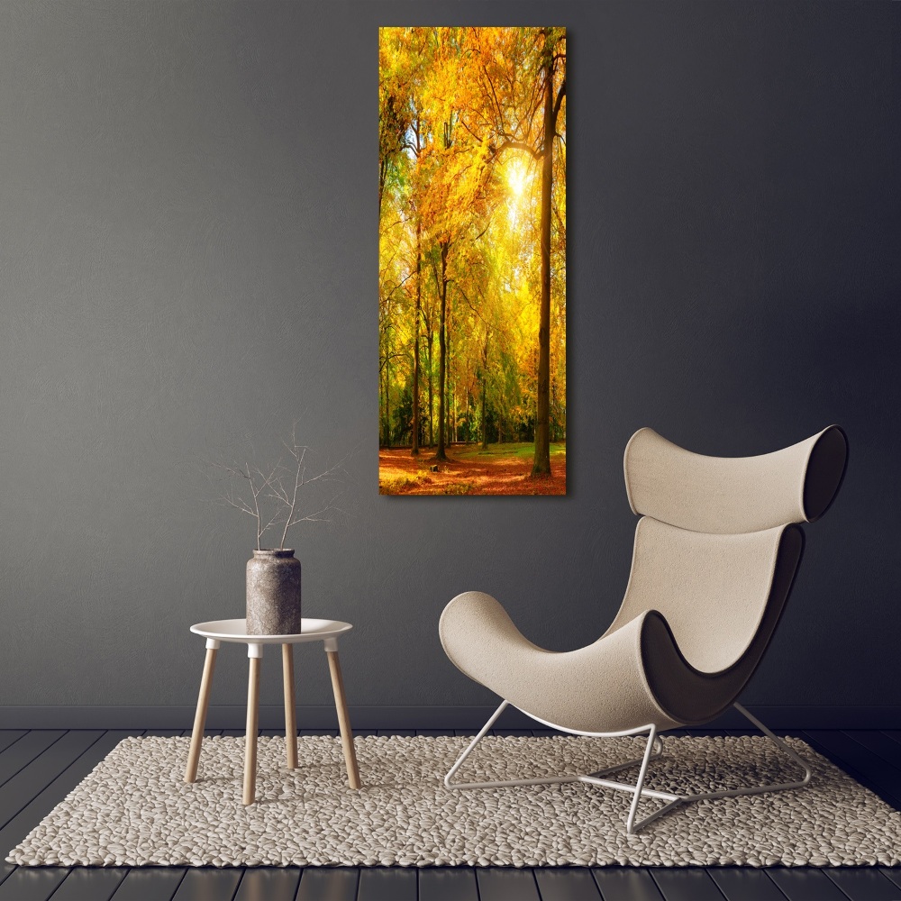 Canvas wall art Forest in autumn