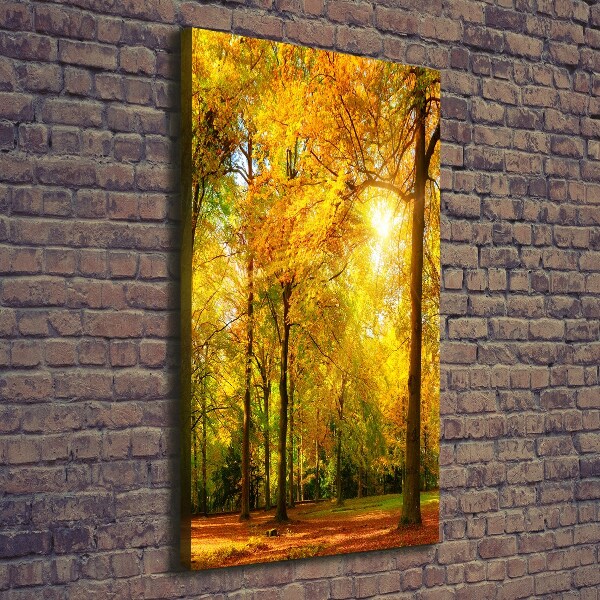 Canvas wall art Forest in autumn