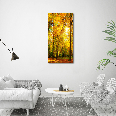 Canvas wall art Forest in autumn