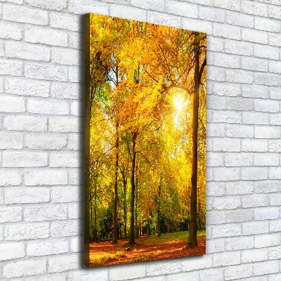 Canvas wall art Forest in autumn