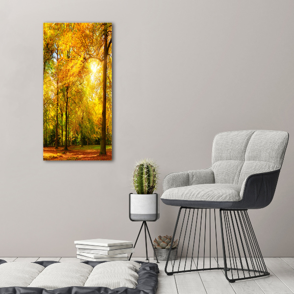 Canvas wall art Forest in autumn