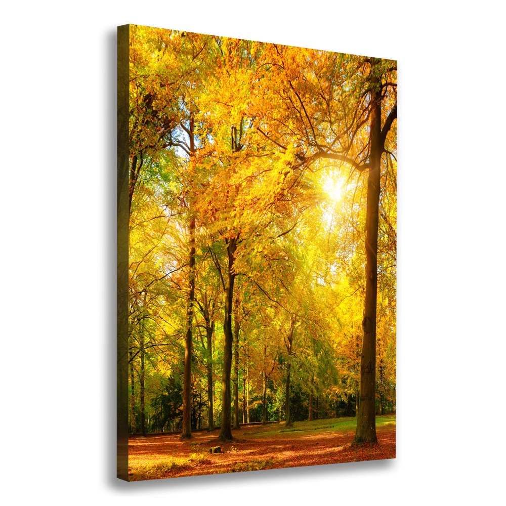 Canvas wall art Forest in autumn