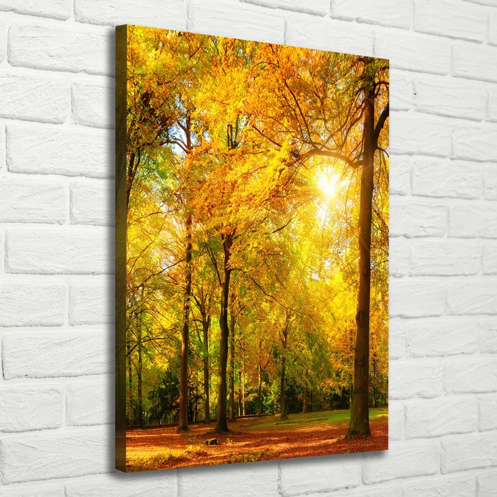 Canvas wall art Forest in autumn