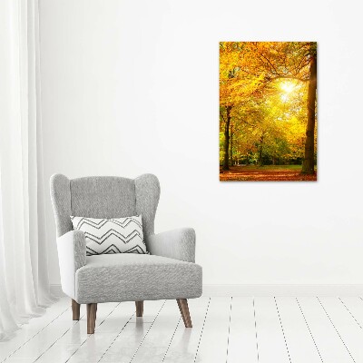 Canvas wall art Forest in autumn