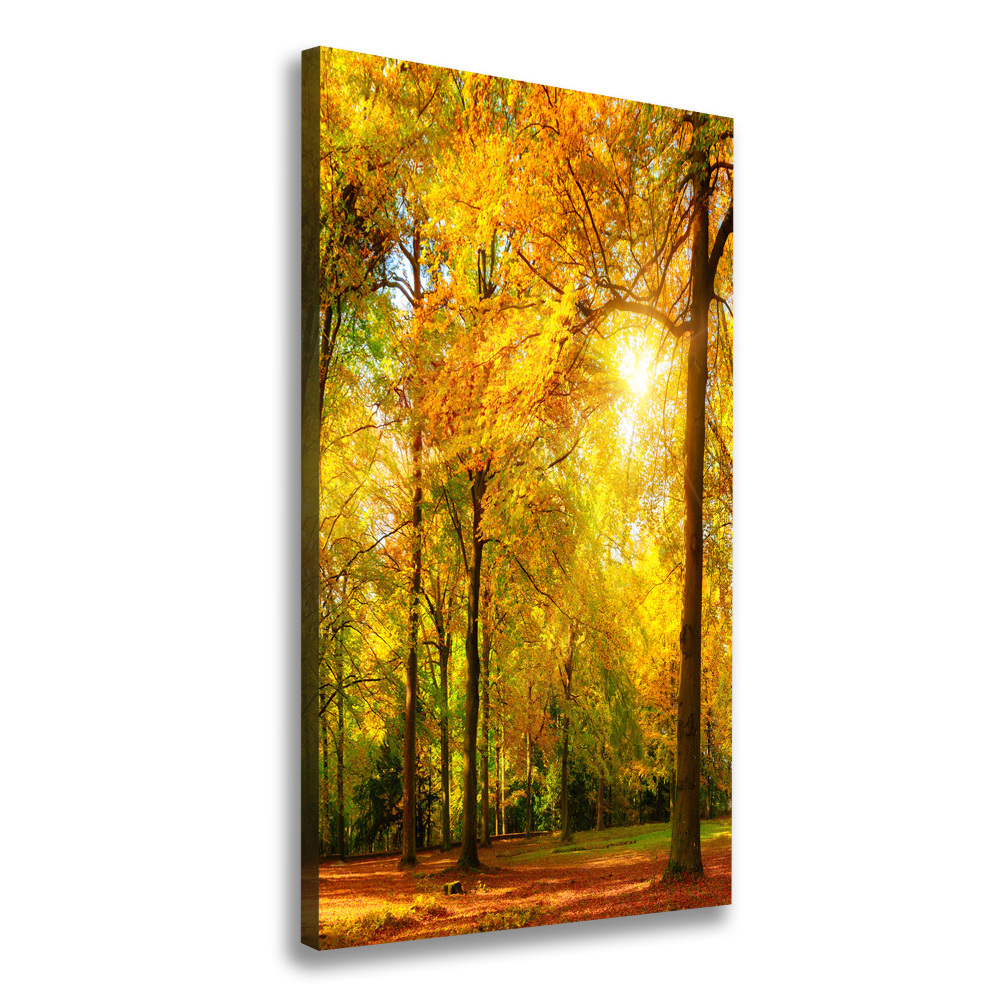 Canvas wall art Forest in autumn