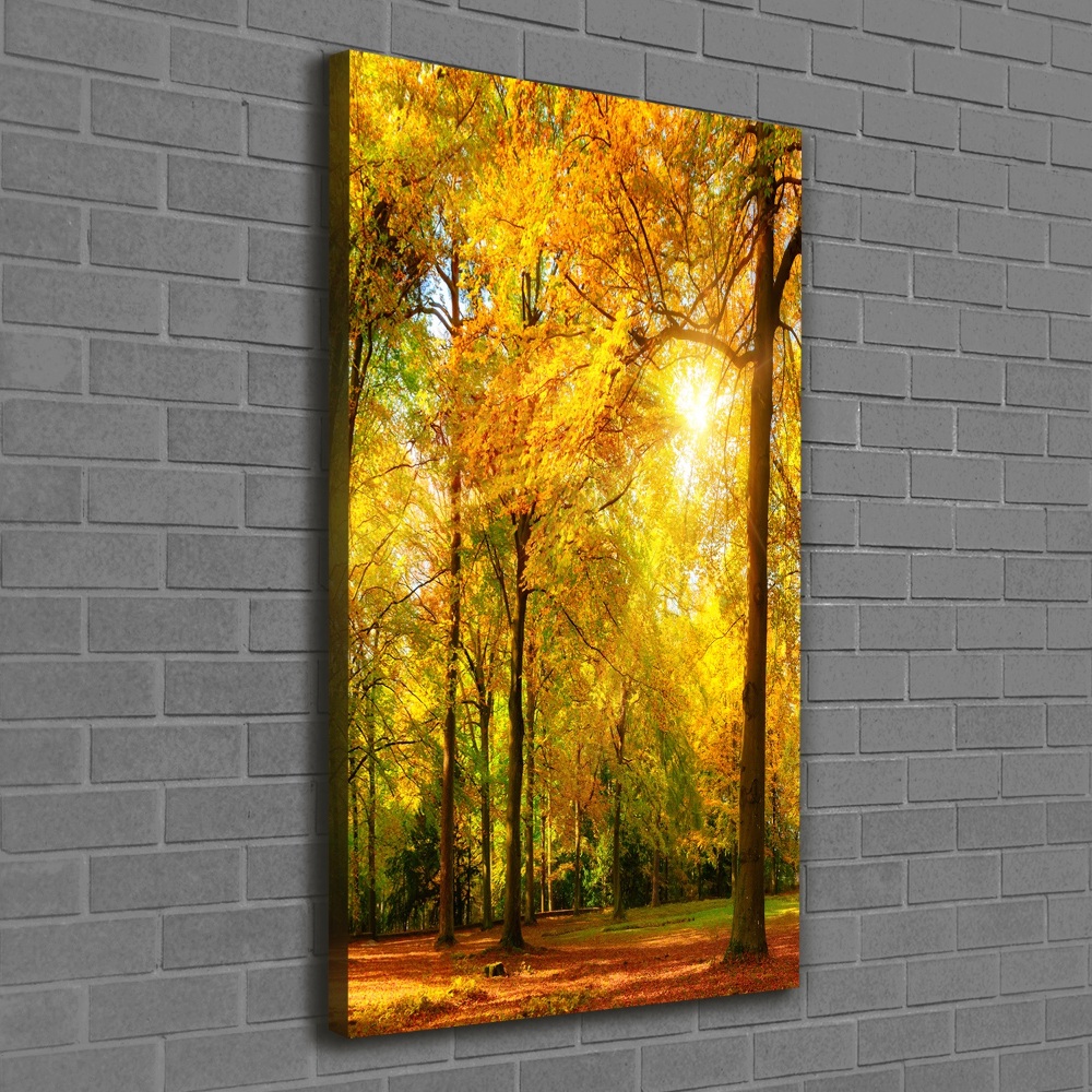 Canvas wall art Forest in autumn