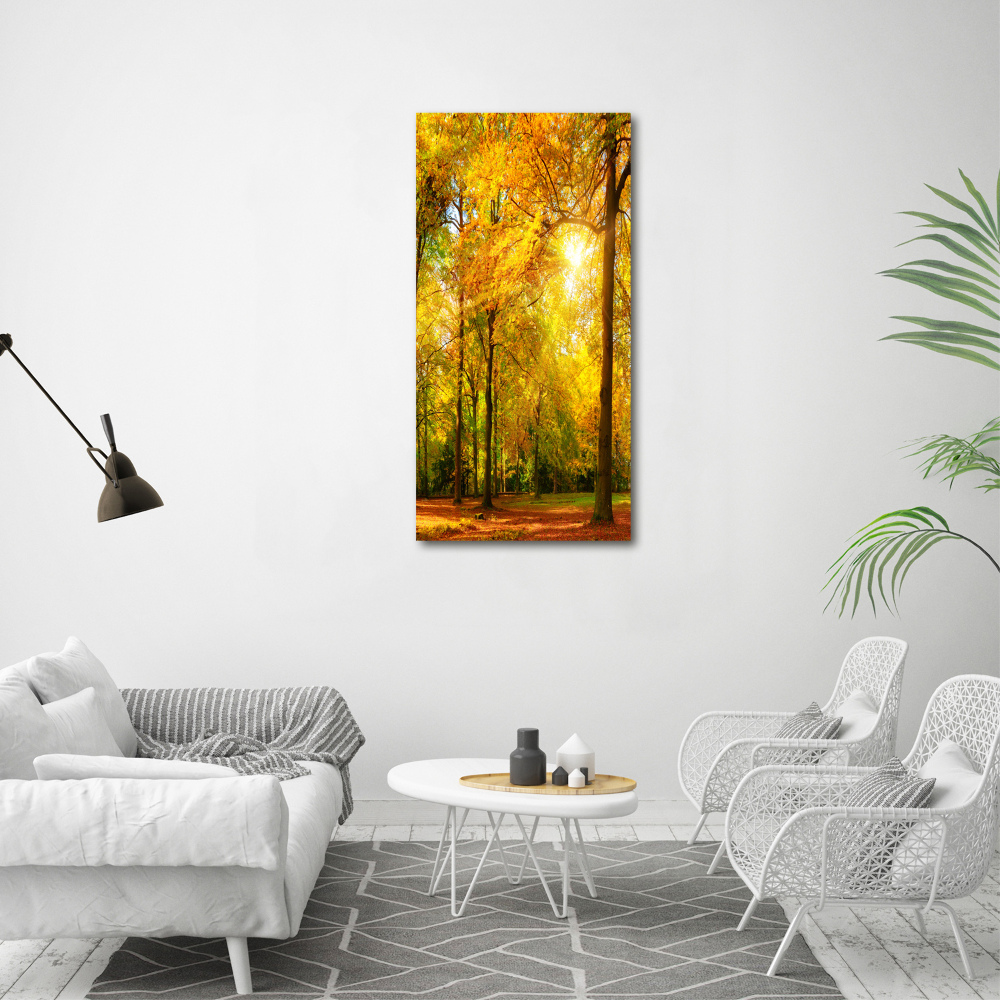 Canvas wall art Forest in autumn